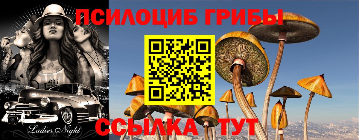 Топки  Галлюциногенные грибы мицелий  Галлюциногенные грибы ЛСД  Вход с VPN 