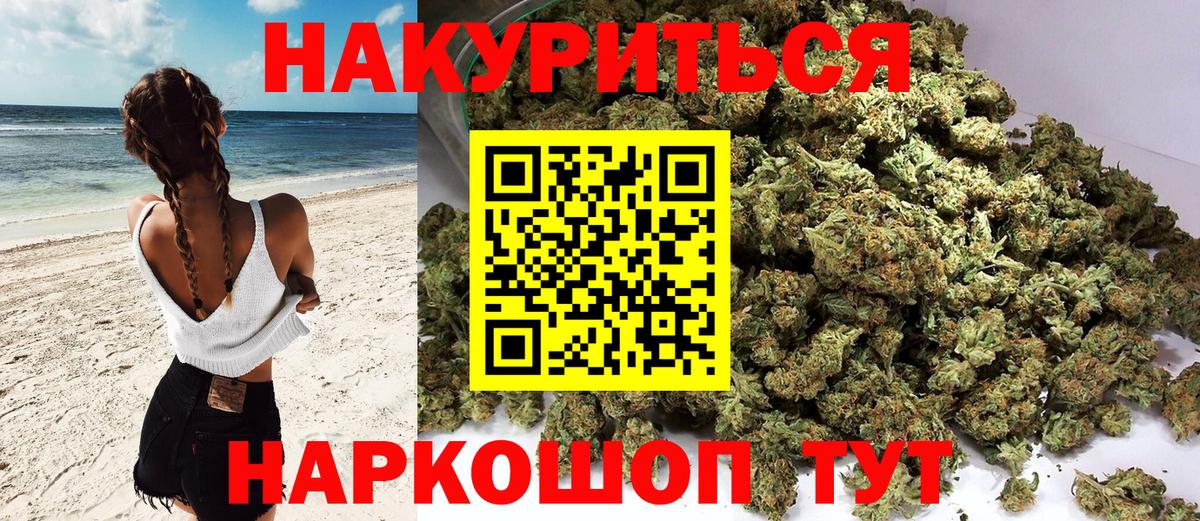Бошки марихуана планчик  Конопля Bruce Banner  Топки  Марихуана тримм  Марихуана планчик  Вход с VPN 